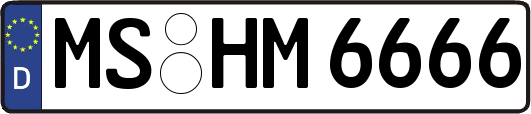 MS-HM6666