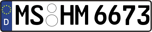MS-HM6673