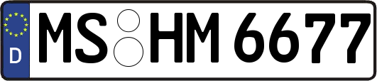MS-HM6677