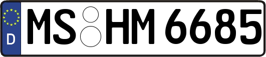MS-HM6685