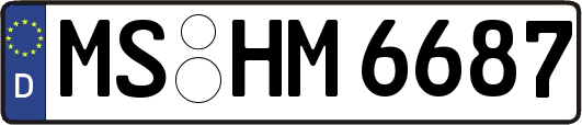 MS-HM6687