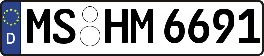 MS-HM6691