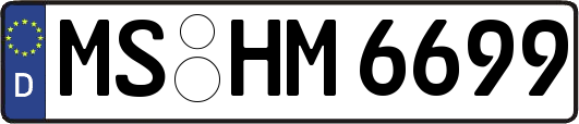 MS-HM6699