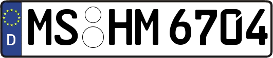 MS-HM6704