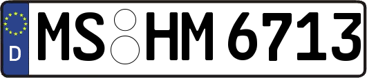 MS-HM6713
