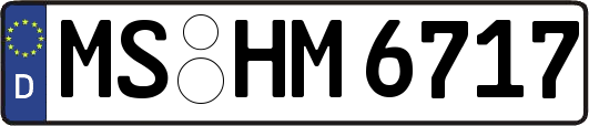 MS-HM6717