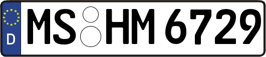 MS-HM6729