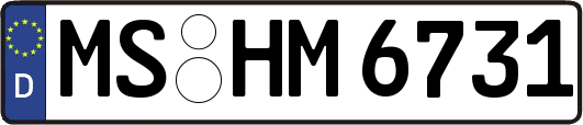 MS-HM6731