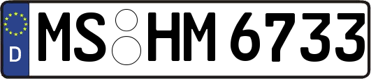 MS-HM6733