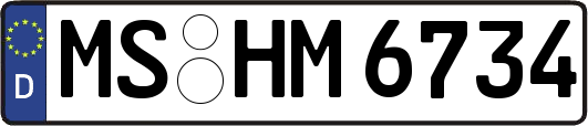 MS-HM6734