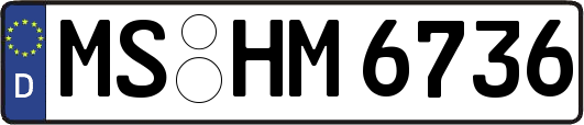 MS-HM6736