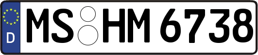 MS-HM6738