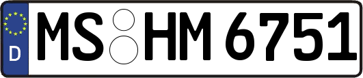 MS-HM6751