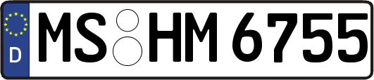MS-HM6755