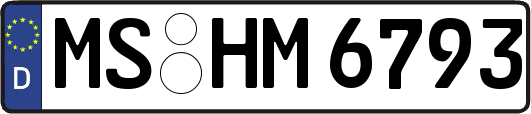 MS-HM6793