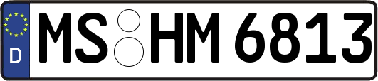 MS-HM6813
