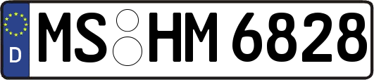 MS-HM6828