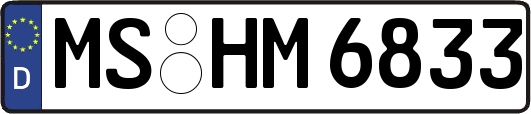 MS-HM6833