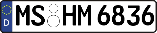 MS-HM6836