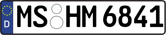 MS-HM6841