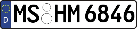 MS-HM6846