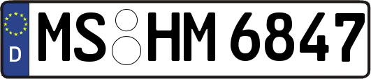 MS-HM6847