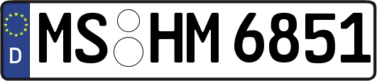 MS-HM6851