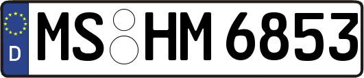 MS-HM6853