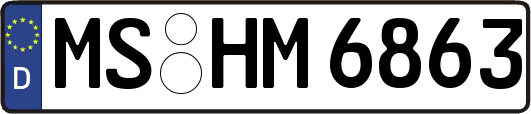 MS-HM6863