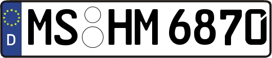 MS-HM6870