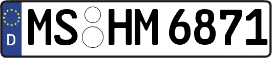 MS-HM6871
