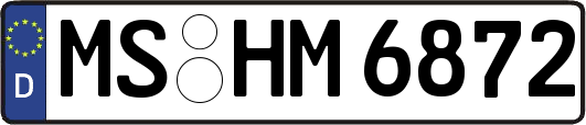 MS-HM6872