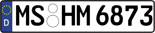 MS-HM6873
