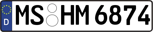 MS-HM6874