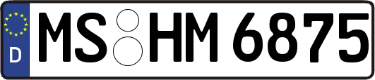 MS-HM6875