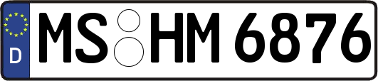 MS-HM6876