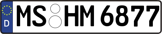 MS-HM6877