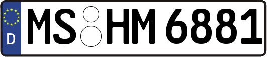 MS-HM6881