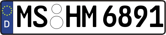 MS-HM6891