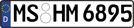 MS-HM6895