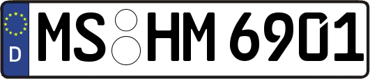 MS-HM6901