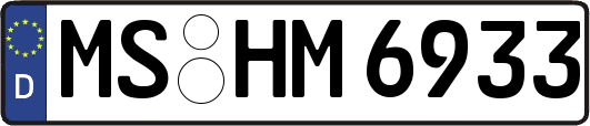 MS-HM6933