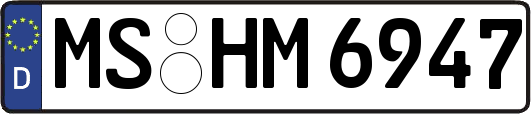 MS-HM6947