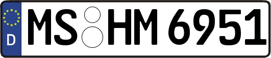 MS-HM6951