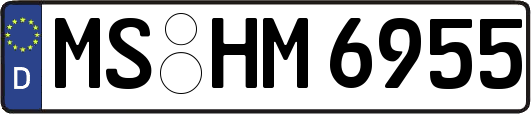 MS-HM6955