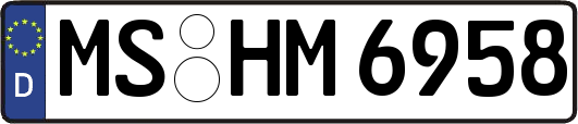 MS-HM6958