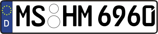 MS-HM6960