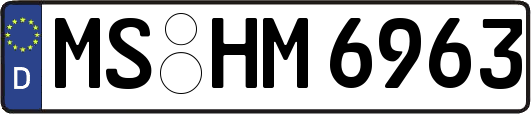 MS-HM6963