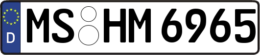 MS-HM6965