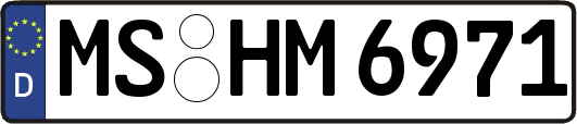 MS-HM6971